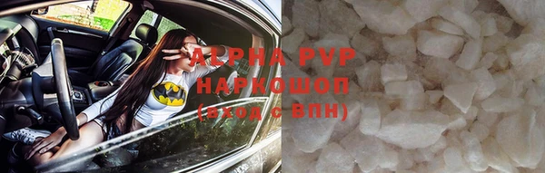 прущие крисы Новозыбков