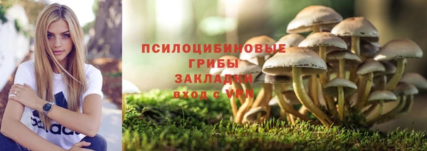 мдпв Новокубанск