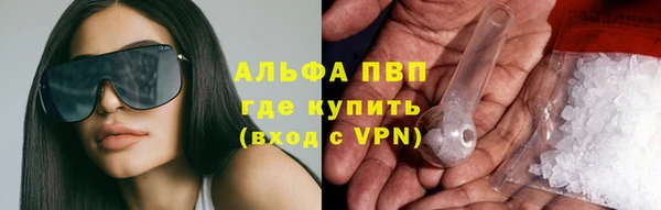 прущие крисы Новозыбков