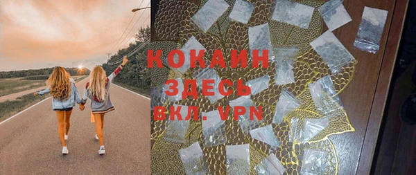 прущие крисы Новозыбков