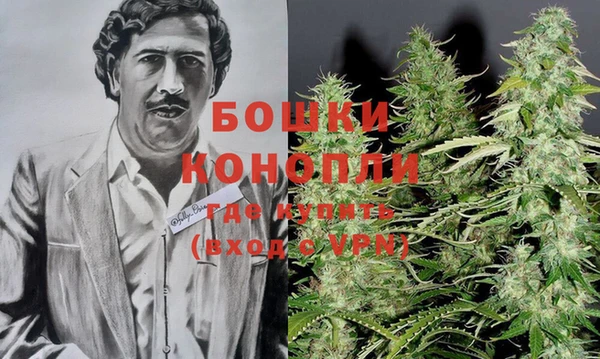 прущие крисы Новозыбков