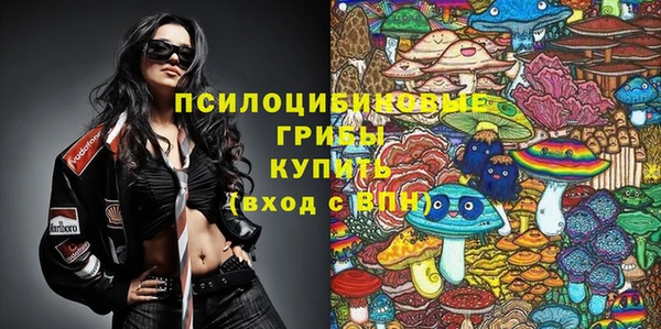 мдпв Новокубанск